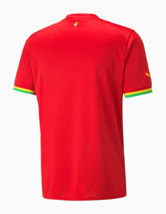 Ghana 2022 Away Jersey