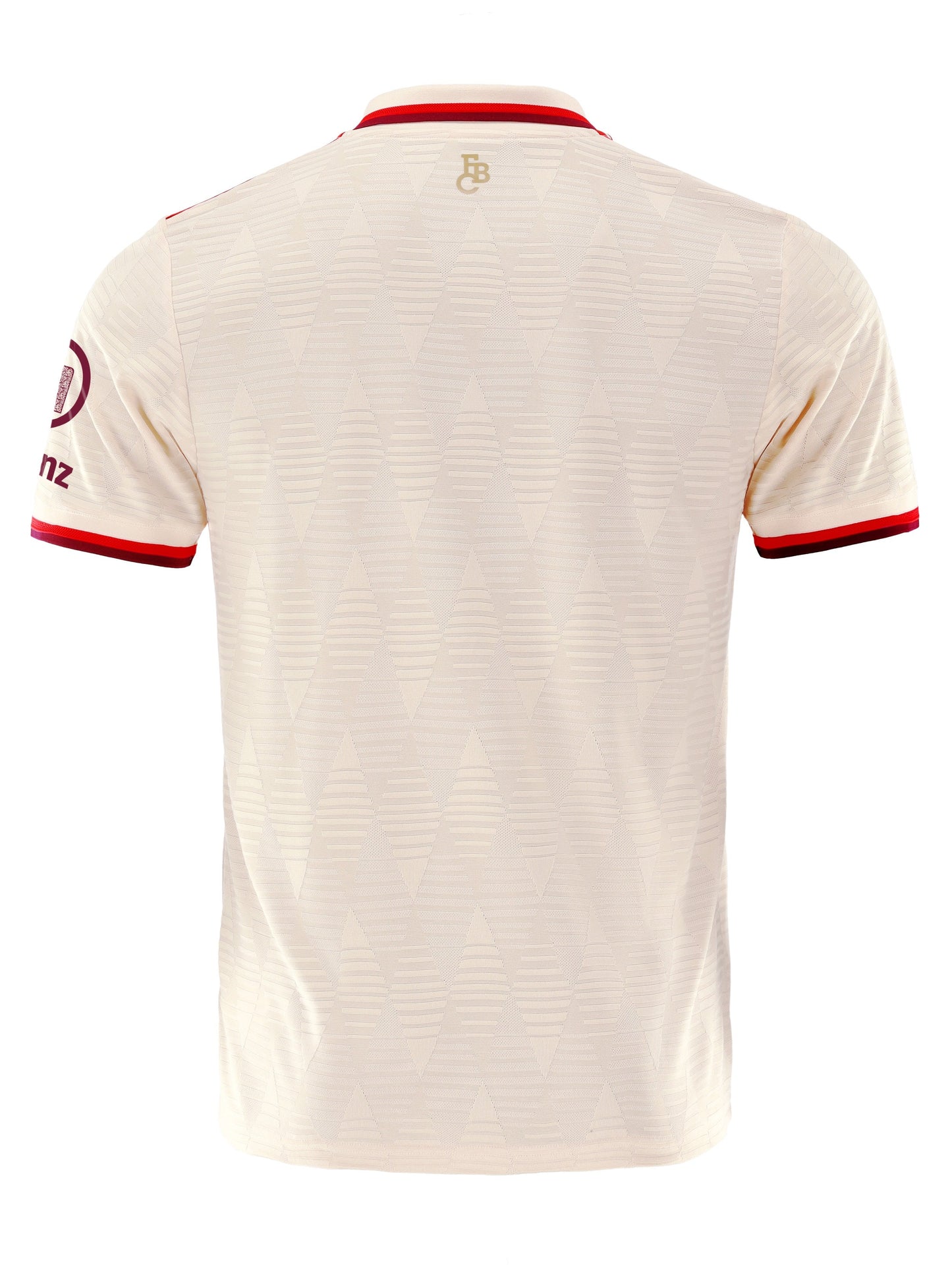 Bayern 24/25 Third Jersey