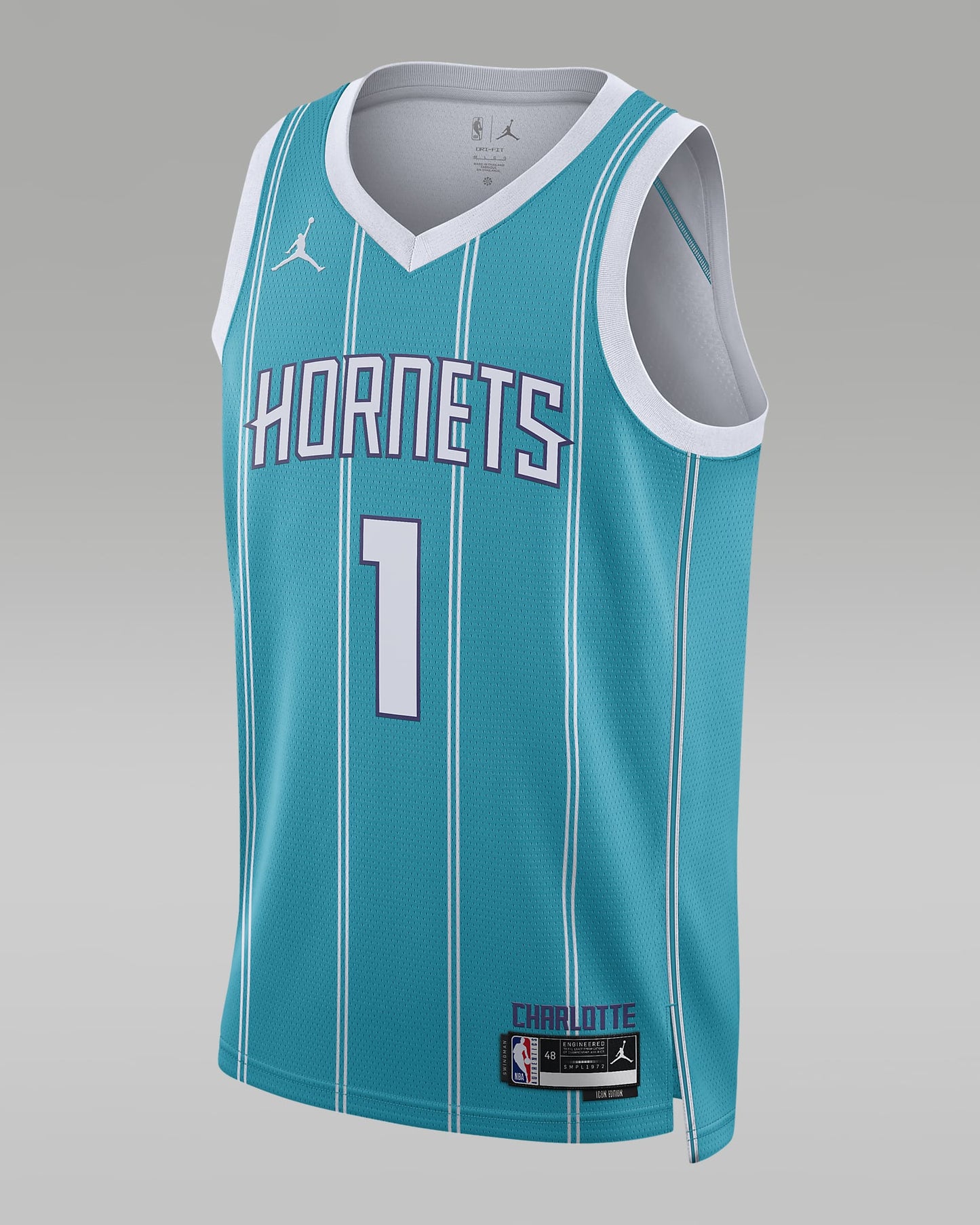 Charlotte Hornets Icon Edition